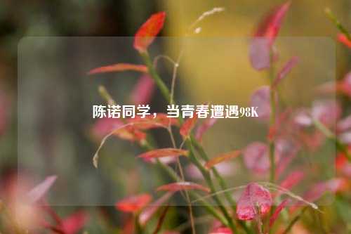 陈诺同学,当青春遭遇98K