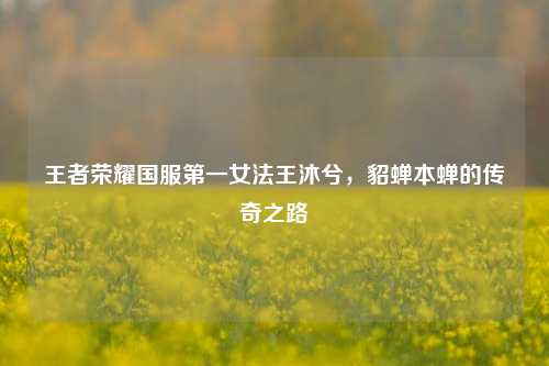 王者荣耀国服第一女法王沐兮，貂蝉本蝉的传奇之路