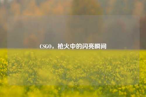 CSGO，枪火中的闪亮瞬间