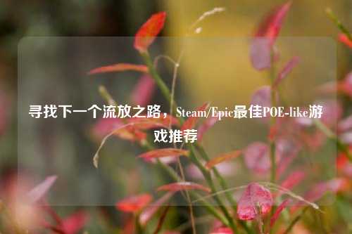 寻找下一个流放之路,Steam/Epic最佳POE-like游戏推荐