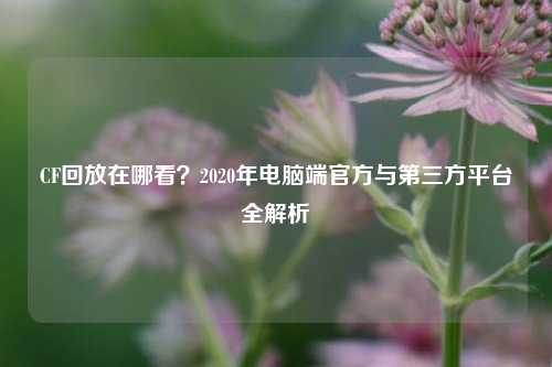 CF回放在哪看?2020年电脑端官方与第三方平台全解析