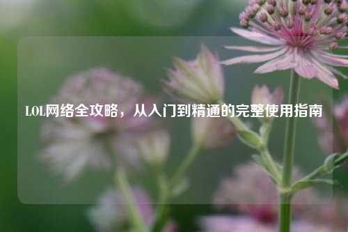 LOL网络全攻略，从入门到精通的完整使用指南