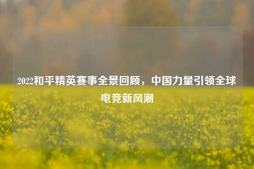 2022和平精英赛事全景回顾,中国力量引领全球电竞新风潮