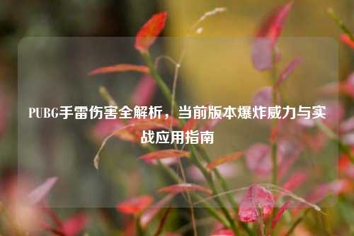 PUBG手雷伤害全解析，当前版本爆炸威力与实战应用指南