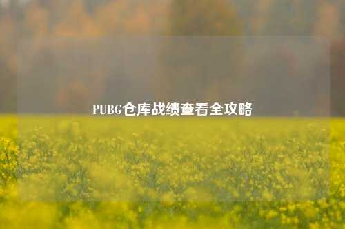 PUBG仓库战绩查看全攻略