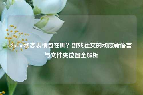 Steam动态表情包在哪?游戏社交的动感新语言与文件夹位置全解析