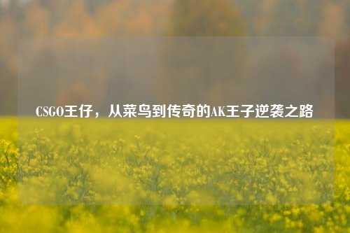 CSGO王仔，从菜鸟到传奇的AK王子逆袭之路