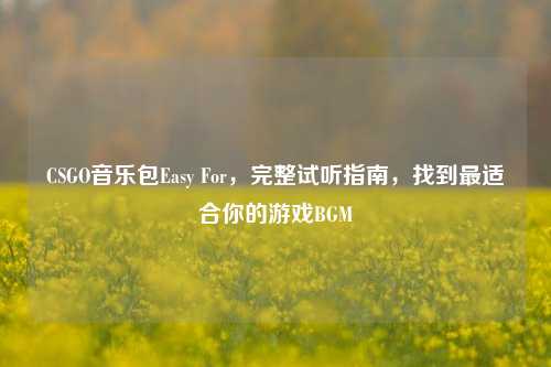 CSGO音乐包Easy For，完整试听指南，找到最适合你的游戏BGM