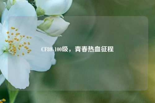 CF80-100级，青春热血征程