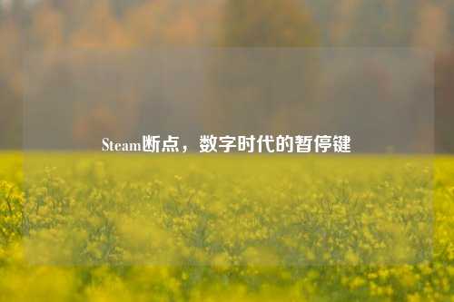 Steam断点,数字时代的暂停键