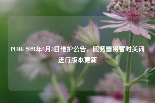 PUBG 2021年2月3日维护公告，服务器将暂时关闭进行版本更新