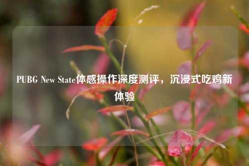 PUBG New State体感操作深度测评，沉浸式吃鸡新体验