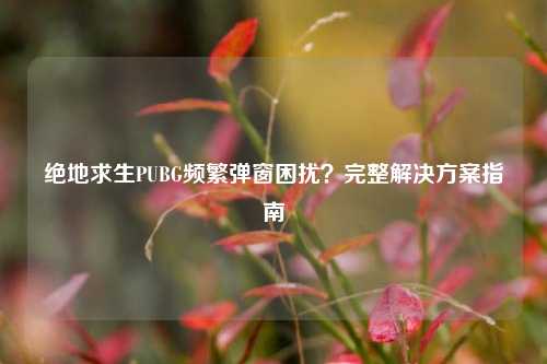 绝地求生PUBG频繁弹窗困扰?完整解决方案指南