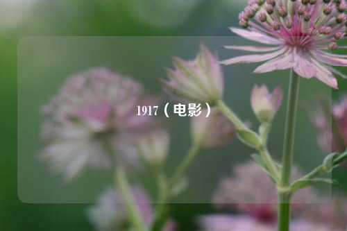 1917(电影)