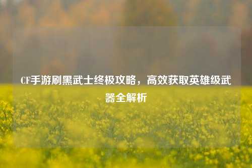 CF手游刷黑武士终极攻略，高效获取英雄级武器全解析