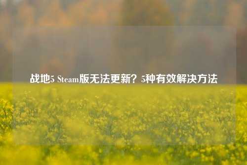 战地5 Steam版无法更新？5种有效解决方法