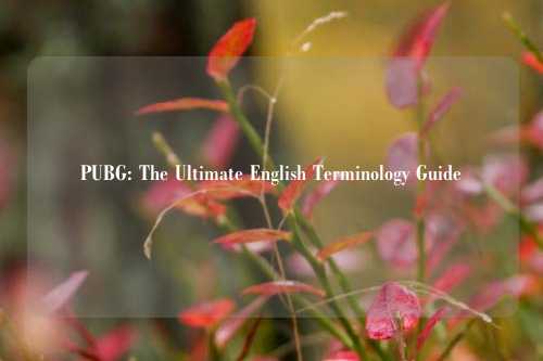 PUBG: The Ultimate English Terminology Guide