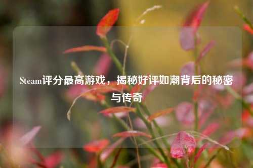 Steam评分最高游戏,揭秘好评如潮背后的秘密与传奇