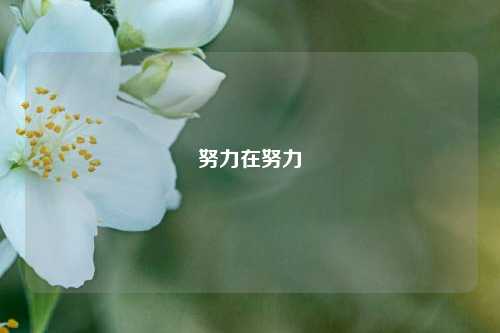 努力在努力