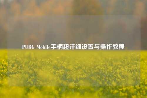 PUBG Mobile手柄超详细设置与操作教程