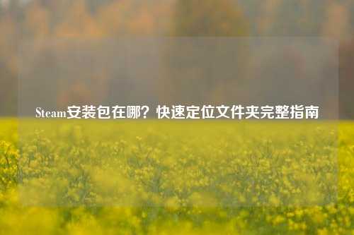 Steam安装包在哪?快速定位文件夹完整指南