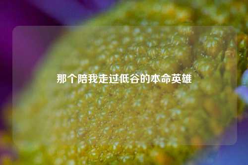 那个陪我走过低谷的本命英雄