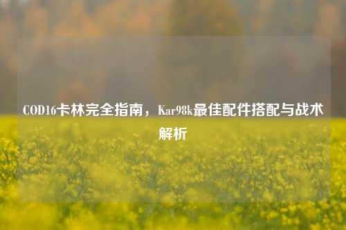 COD16卡林完全指南，Kar98k最佳配件搭配与战术解析