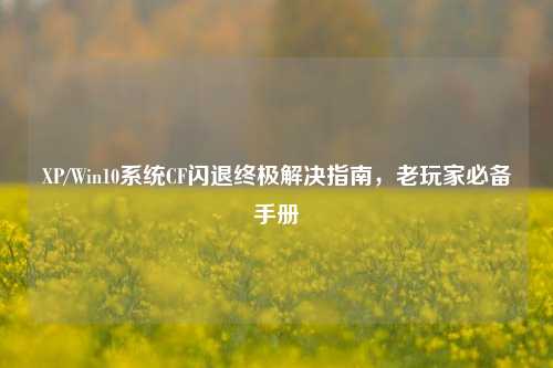 XP/Win10系统CF闪退终极解决指南,老玩家必备手册