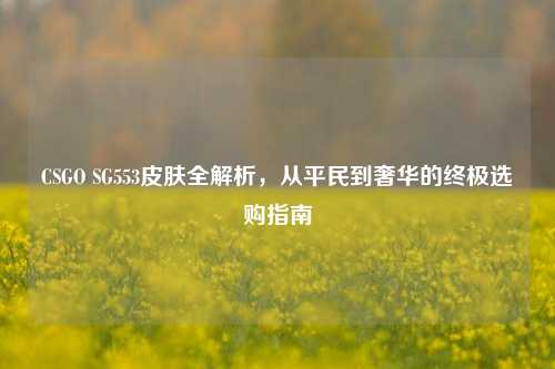 CSGO SG553皮肤全解析，从平民到奢华的终极选购指南