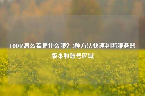 COD16怎么看是什么服？5种方法快速判断服务器版本和账号区域