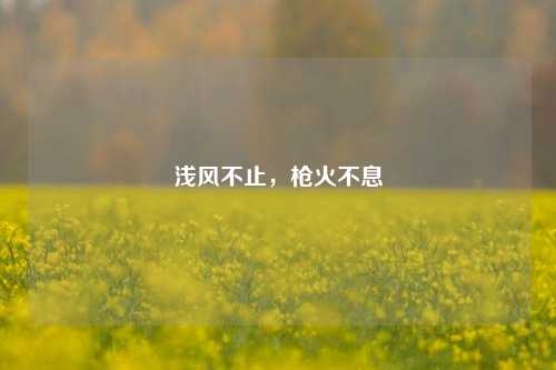浅风不止，枪火不息