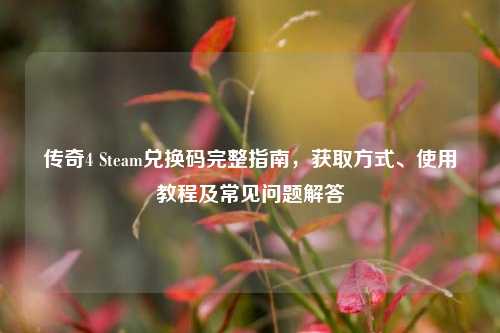 传奇4 Steam兑换码完整指南，获取方式、使用教程及常见问题解答