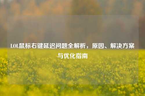 LOL鼠标右键延迟问题全解析，原因、解决方案与优化指南