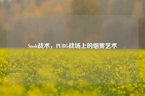 Snok战术,PUBG战场上的烟雾艺术