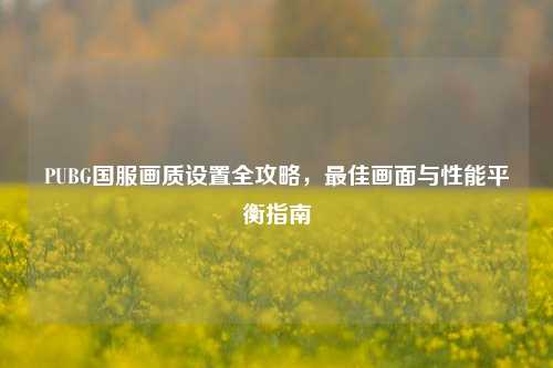 PUBG国服画质设置全攻略，最佳画面与性能平衡指南