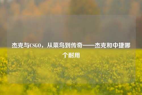 杰克与CSGO,从菜鸟到传奇——杰克和中捷哪个耐用
