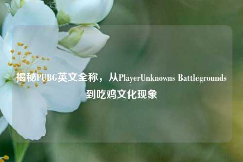 揭秘PUBG英文全称,从PlayerUnknowns Battlegrounds到吃鸡文化现象