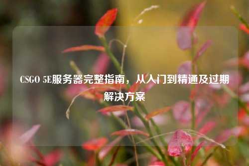 CSGO 5E服务器完整指南，从入门到精通及过期解决方案