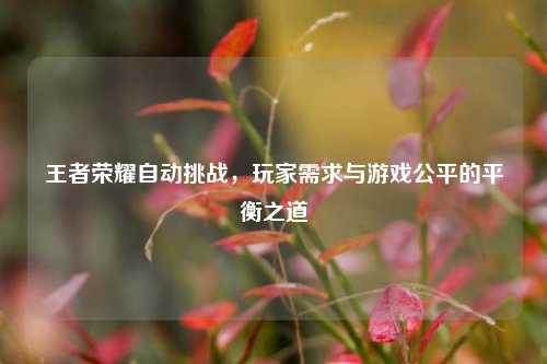 王者荣耀自动挑战，玩家需求与游戏公平的平衡之道