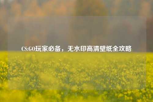 CS:GO玩家必备,无水印高清壁纸全攻略
