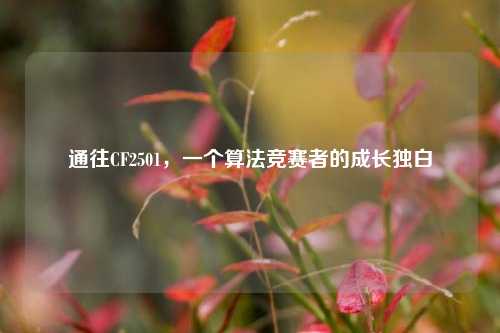 通往CF2501,一个算法竞赛者的成长独白