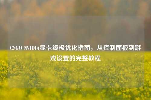 CSGO NVIDIA显卡终极优化指南，从控制面板到游戏设置的完整教程