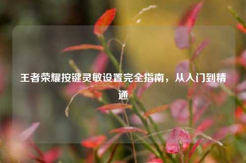 王者荣耀按键灵敏设置完全指南，从入门到精通