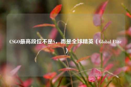 CSGO最高段位不是S,而是全球精英(Global Elite)