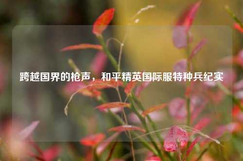 跨越国界的枪声,和平精英国际服特种兵纪实