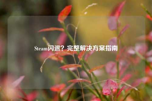 Steam闪退?完整解决方案指南
