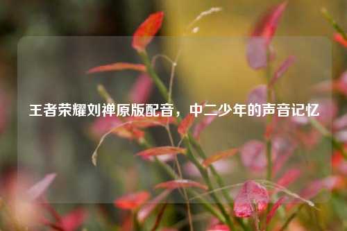 王者荣耀刘禅原版配音,中二少年的声音记忆