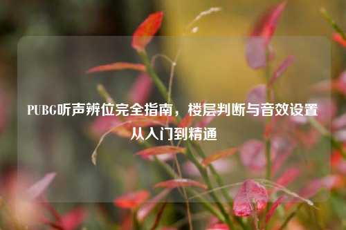 PUBG听声辨位完全指南，楼层判断与音效设置从入门到精通