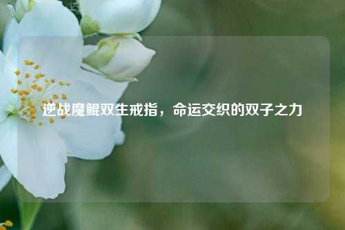 逆战魔鲲双生戒指,命运交织的双子之力
