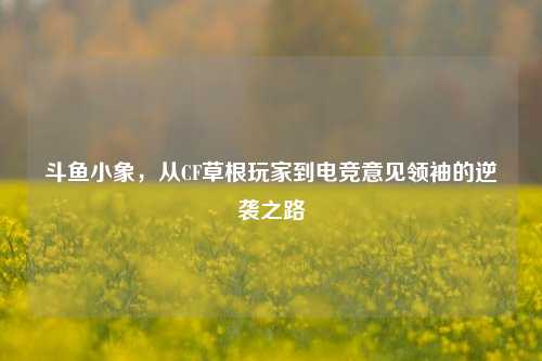 斗鱼小象，从CF草根玩家到电竞意见领袖的逆袭之路